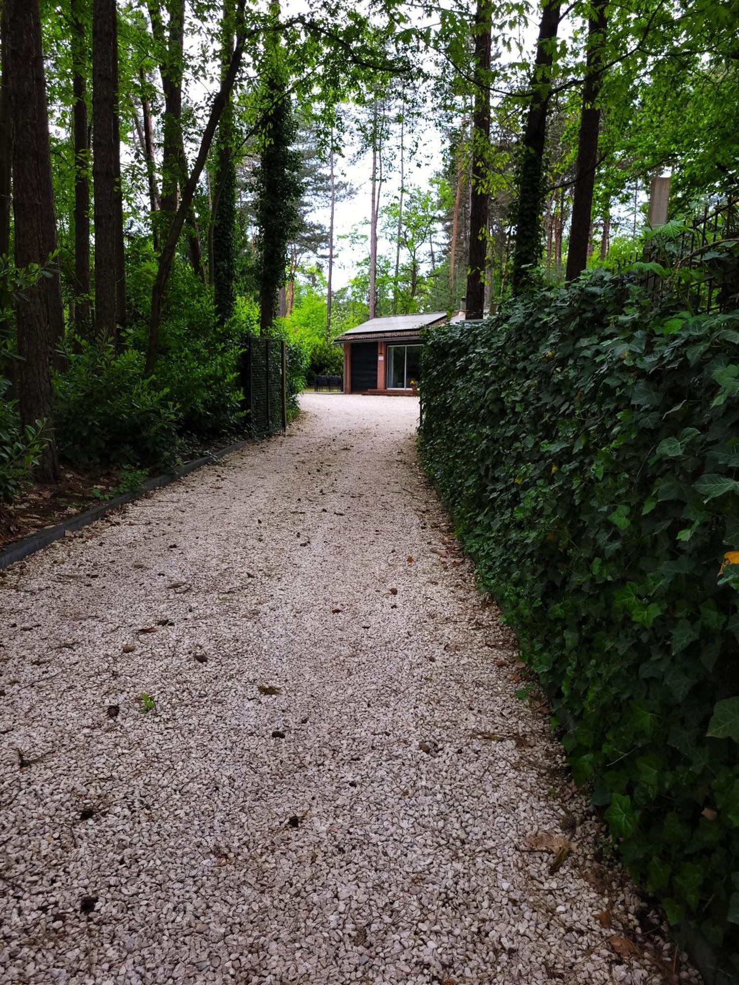 Willa Secret Wellness Boszicht Holten Zewnętrze zdjęcie